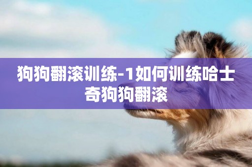狗狗翻滾訓練-1如何訓練哈士奇狗狗翻滾