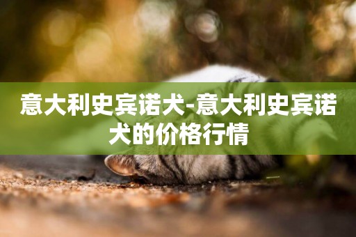 意大利史賓諾犬-意大利史賓諾犬的價格行情