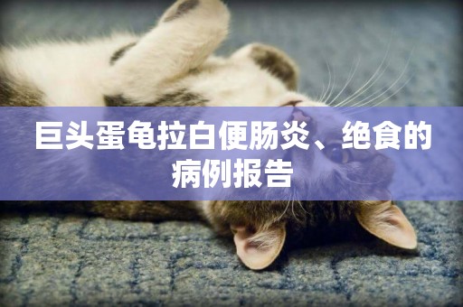 巨頭蛋龜拉白便腸炎、絕食的病例報告