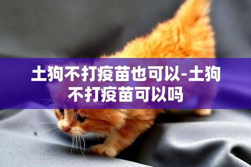 土狗不打疫苗也可以-土狗不打疫苗可以嗎