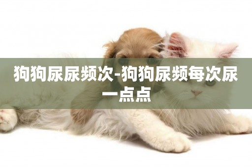 狗狗尿尿頻次-狗狗尿頻每次尿一點點