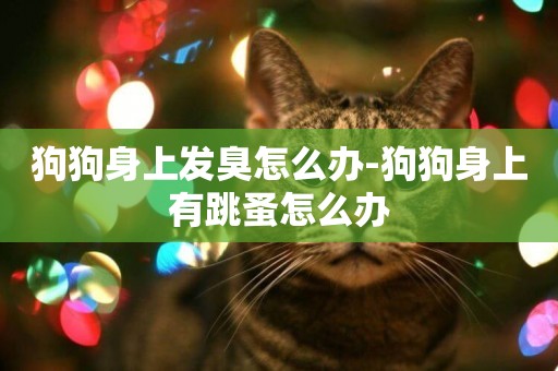 狗狗身上發臭怎么辦-狗狗身上有跳蚤怎么辦