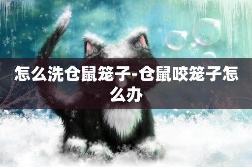 怎么洗倉鼠籠子-倉鼠咬籠子怎么辦