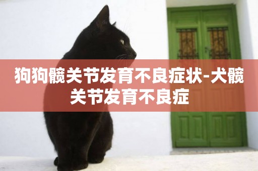 狗狗髖關節發育不良癥狀-犬髖關節發育不良癥