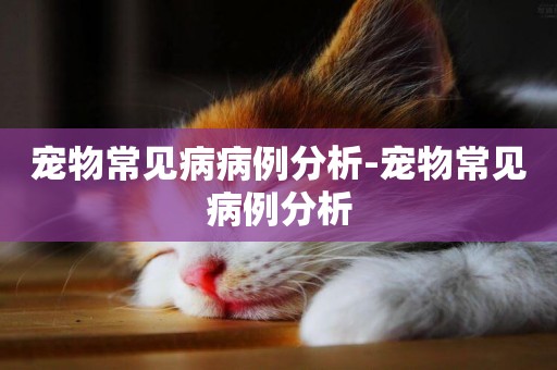 寵物常見病病例分析-寵物常見病例分析