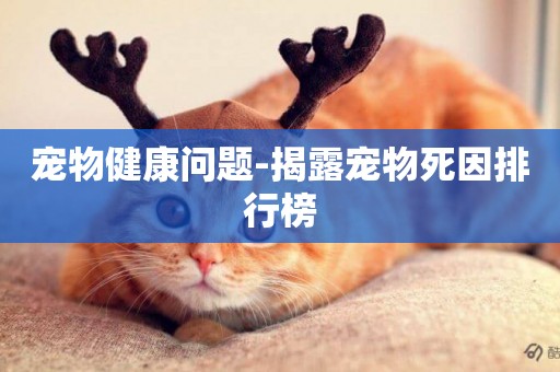 寵物健康問題-揭露寵物死因排行榜