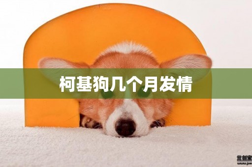 柯基狗幾個月發情