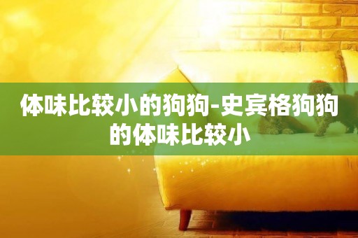 體味比較小的狗狗-史賓格狗狗的體味比較小