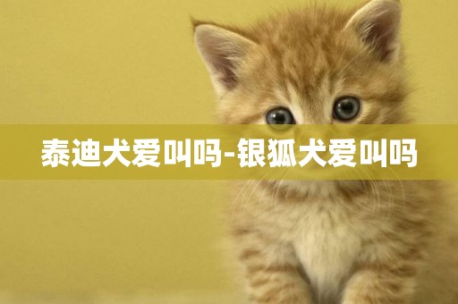 泰迪犬愛叫嗎-銀狐犬愛叫嗎