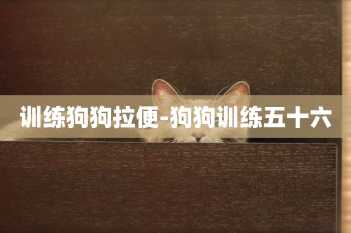 訓練狗狗拉便-狗狗訓練五十六