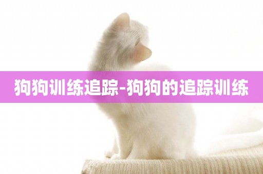 狗狗訓練追蹤-狗狗的追蹤訓練