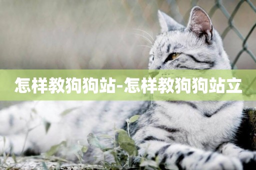 怎樣教狗狗站-怎樣教狗狗站立