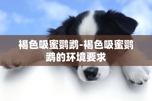 褐色吸蜜鸚鵡-褐色吸蜜鸚鵡的環境要求