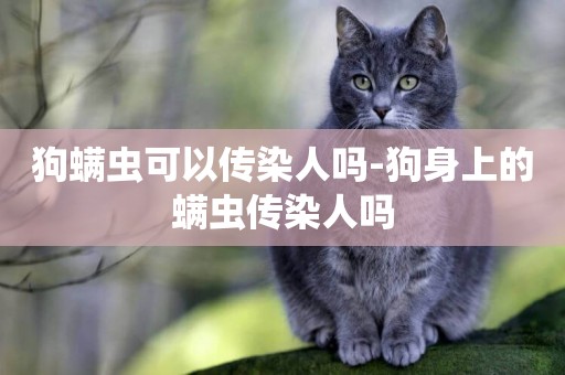 狗螨蟲可以傳染人嗎-狗身上的螨蟲傳染人嗎