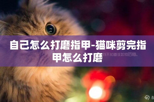 自己怎么打磨指甲-貓咪剪完指甲怎么打磨