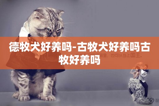 德牧犬好養嗎-古牧犬好養嗎古牧好養嗎