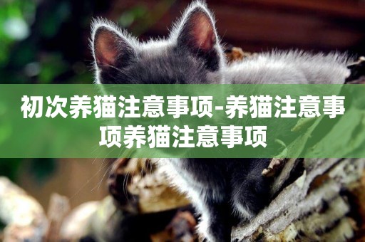 初次養貓注意事項-養貓注意事項養貓注意事項