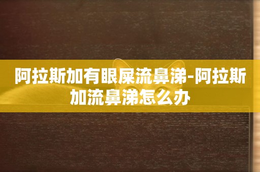 阿拉斯加有眼屎流鼻涕-阿拉斯加流鼻涕怎么辦