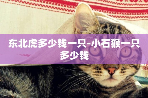 東北虎多少錢一只-小石猴一只多少錢
