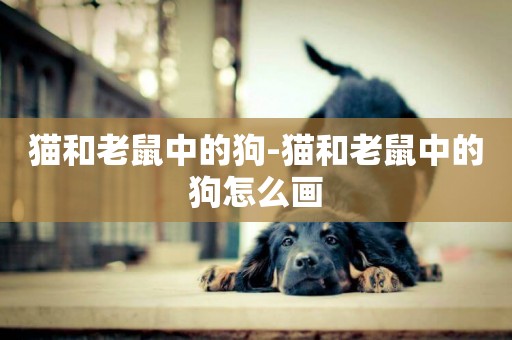 貓和老鼠中的狗-貓和老鼠中的狗怎么畫