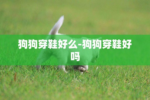 狗狗穿鞋好么-狗狗穿鞋好嗎