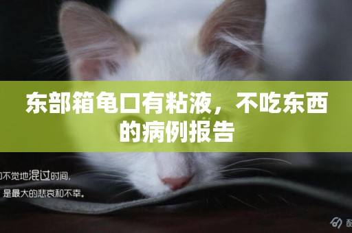東部箱龜口有粘液，不吃東西的病例報告