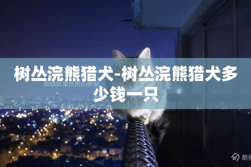樹叢浣熊獵犬-樹叢浣熊獵犬多少錢一只
