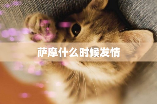 薩摩什么時候發情