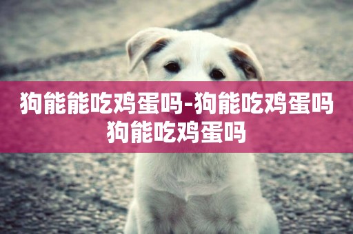 狗能能吃雞蛋嗎-狗能吃雞蛋嗎狗能吃雞蛋嗎