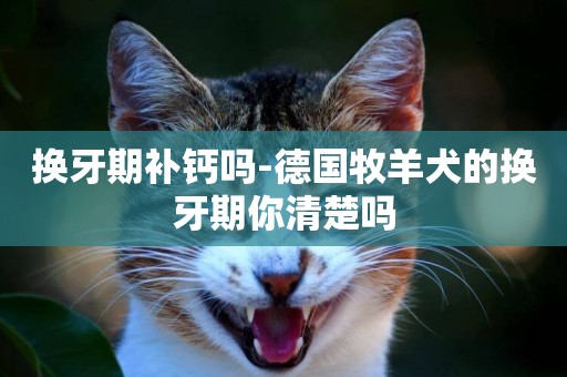 換牙期補鈣嗎-德國牧羊犬的換牙期你清楚嗎