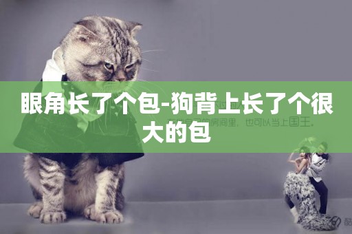 眼角長了個包-狗背上長了個很大的包