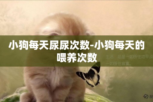 小狗每天尿尿次數-小狗每天的喂養次數