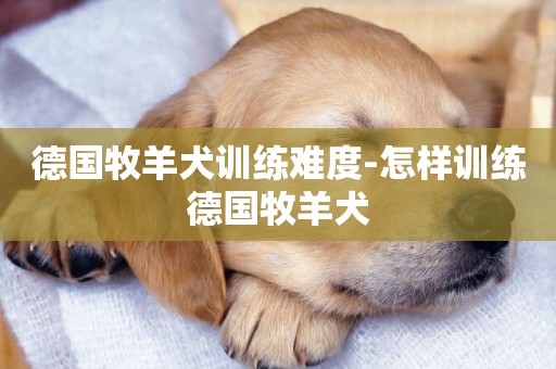 德國牧羊犬訓練難度-怎樣訓練德國牧羊犬
