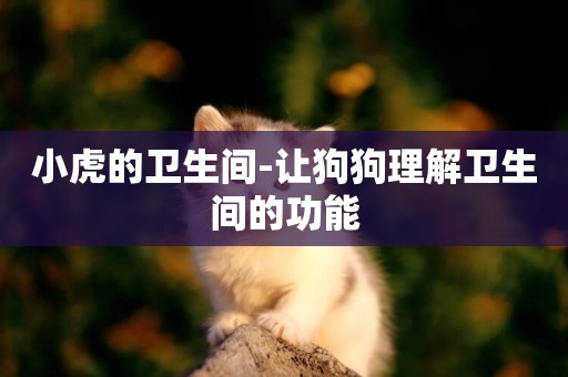 小虎的衛生間-讓狗狗理解衛生間的功能