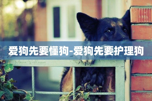愛狗先要懂狗-愛狗先要護理狗