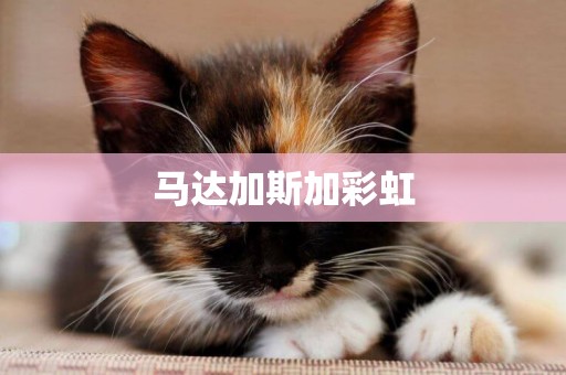 馬達加斯加彩虹