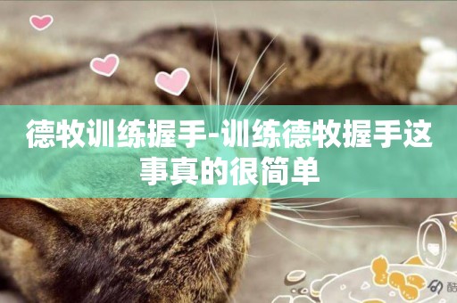 德牧訓練握手-訓練德牧握手這事真的很簡單