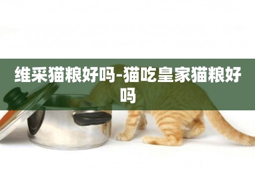 維采貓糧好嗎-貓吃皇家貓糧好嗎