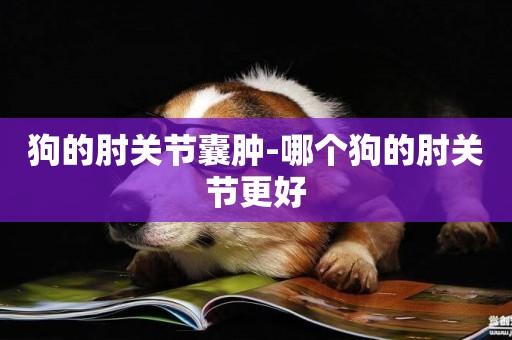 狗的肘關節囊腫-哪個狗的肘關節更好