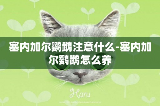 塞內加爾鸚鵡注意什么-塞內加爾鸚鵡怎么養
