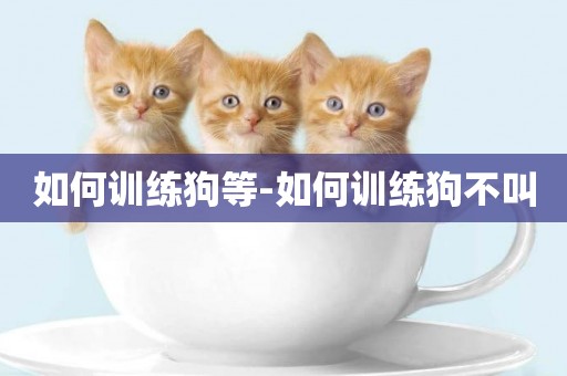 如何訓練狗等-如何訓練狗不叫