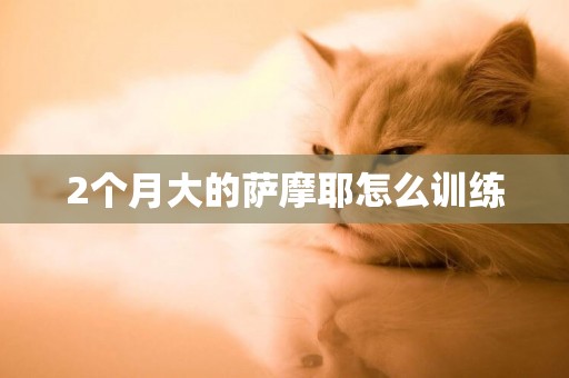2個月大的薩摩耶怎么訓練