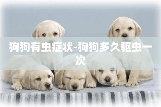 狗狗有蟲癥狀-狗狗多久驅蟲一次