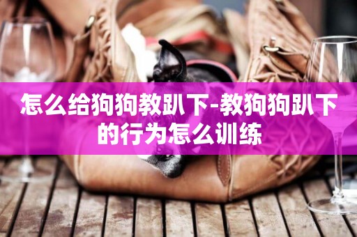 怎么給狗狗教趴下-教狗狗趴下的行為怎么訓練