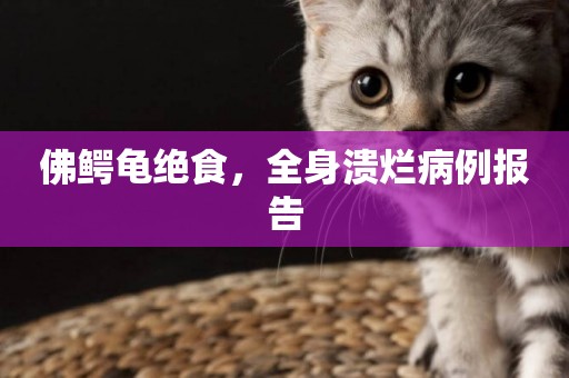 佛鱷龜絕食，全身潰爛病例報告