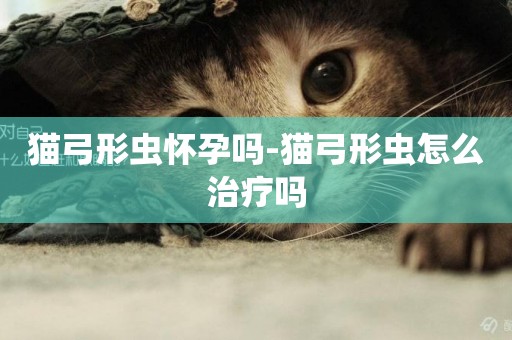 貓弓形蟲懷孕嗎-貓弓形蟲怎么治療嗎