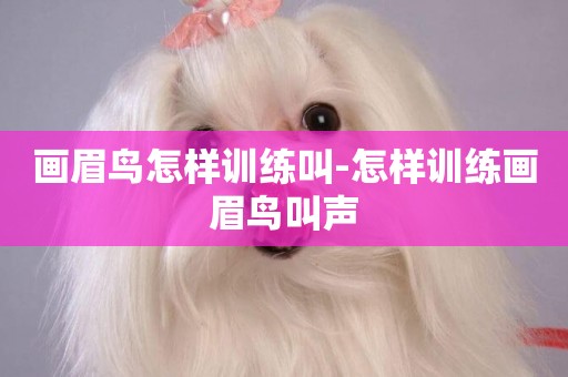 畫眉鳥怎樣訓練叫-怎樣訓練畫眉鳥叫聲