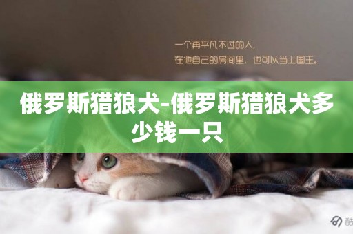 俄羅斯獵狼犬-俄羅斯獵狼犬多少錢一只