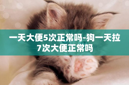 一天大便5次正常嗎-狗一天拉7次大便正常嗎