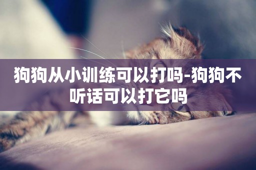 狗狗從小訓練可以打嗎-狗狗不聽話可以打它嗎
